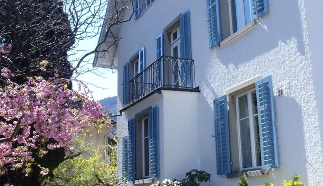 Stylish 1.5-room holiday flat in an art nouveau villa