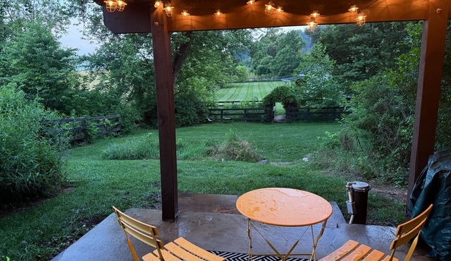 Stylish 1-bd/1-ba gardern apt within quaint Bluemont village, walk to wineries.