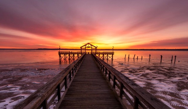 Stylish 1 BR Apartment w Movie Theater