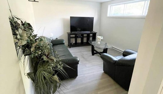 Stylish and luxurious apartment basement unit