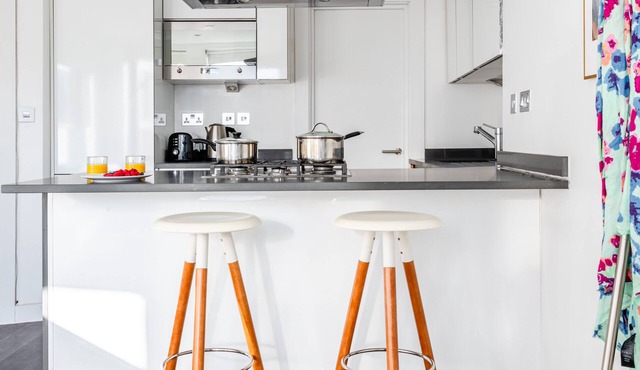 stylish apartment in central london