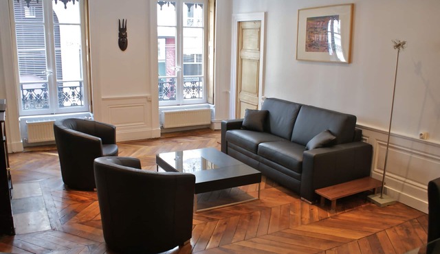 Stylish apartment in the heart of Lyon