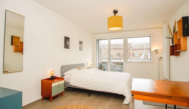 Stylish apartment with free BaselCard