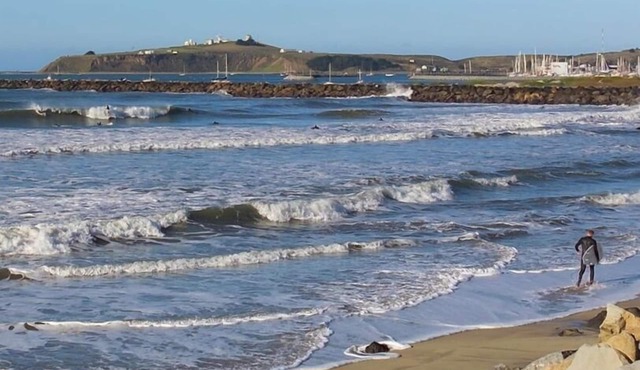 Stylish Beach Retreat with Affordable pricing Weekly and Monthly!