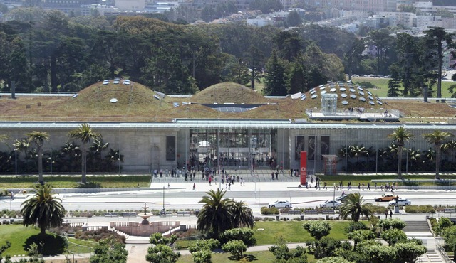 Stylish, Beautifully Designed Apt. near Golden Gate Park