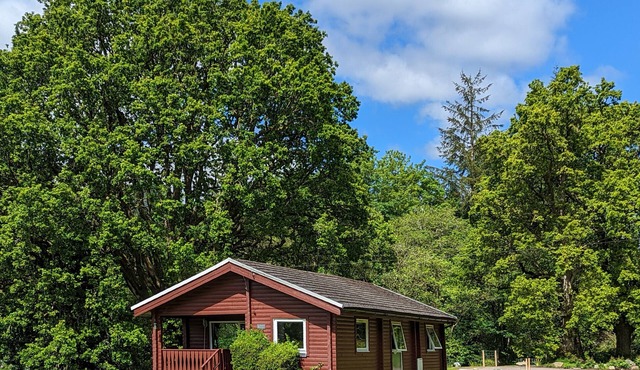 Stylish, Comfy & Cosy log cabin in National Park, dogs & families welcome!