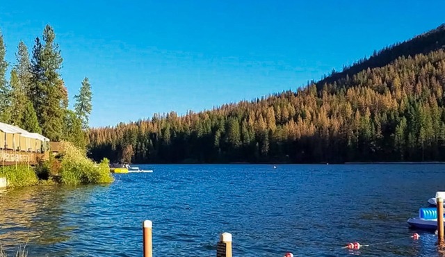 Stylish cabin in Mariposa Valley, close to hiking, fishing, & wineries
