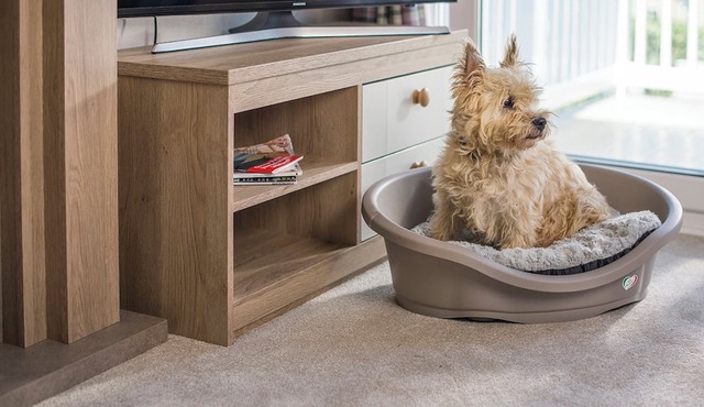 Stylish Comfort 3 (Pet)