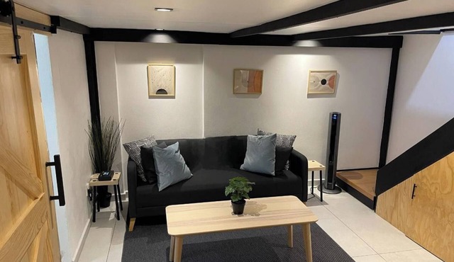 Stylish Coyoacan Retreat