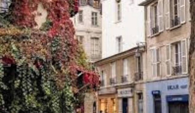 STYLISH DUPLEX WITH TWO BEDROOMS IN VIBRANT PARIS NEIGHBORHOOD