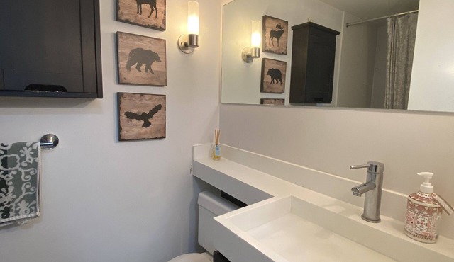 Stylish Fully Furnished 1 Bedroom Condo close to CN Tower