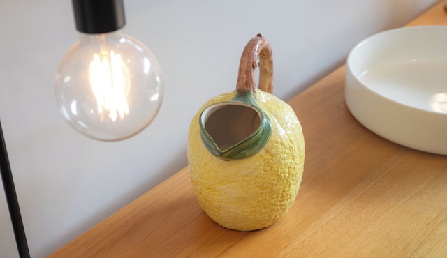 Stylish Ground-floor stay near Austin Hospital - Walk to Cafes & Yarra Trails