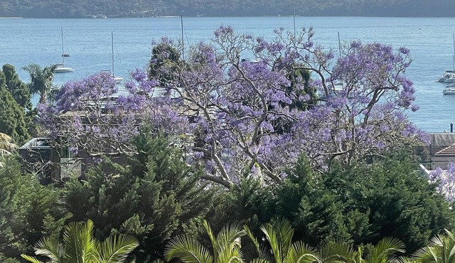 Stylish Harbourside Apartment in Elizabeth Bay