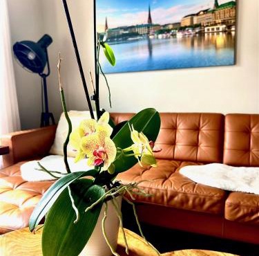 Stylish Heritage Gem facing Stewart Park and Town Hall