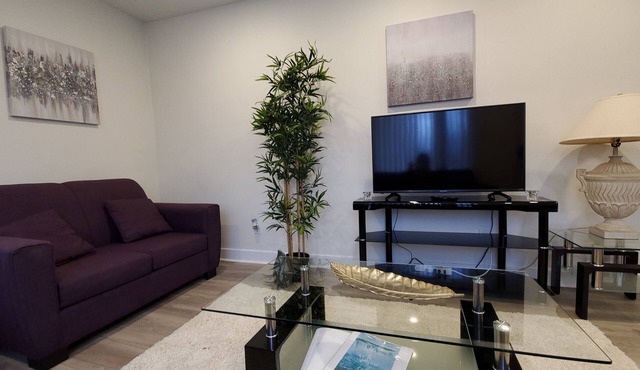 Stylish home 10 minutes walk to the Falls