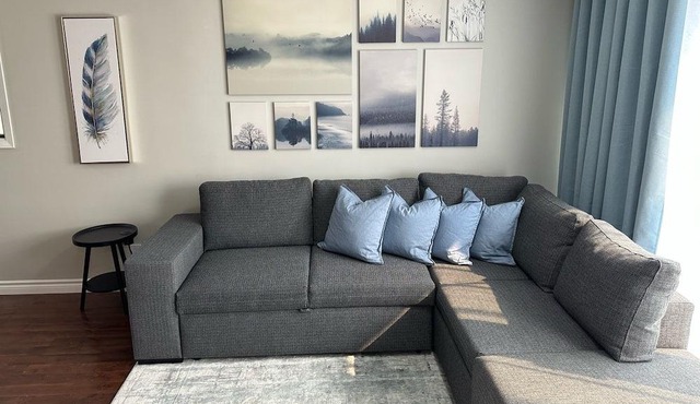 Stylish Home Near University & Hospitals