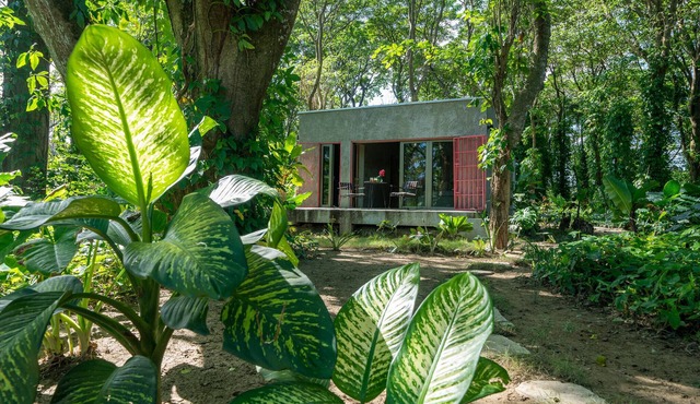Stylish Jungle Cabin – Riverfront Retreat with Hammocks & Wi-Fi