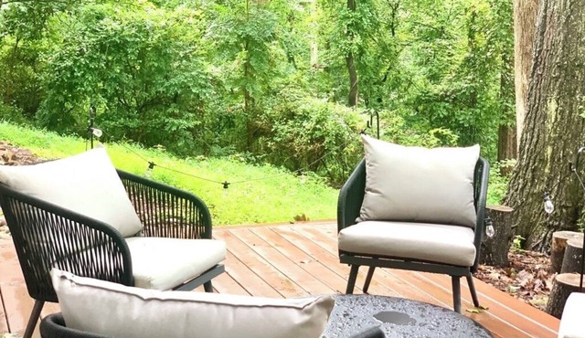 Stylish mid-century house walking distance to UVA with fireplace and sunset view