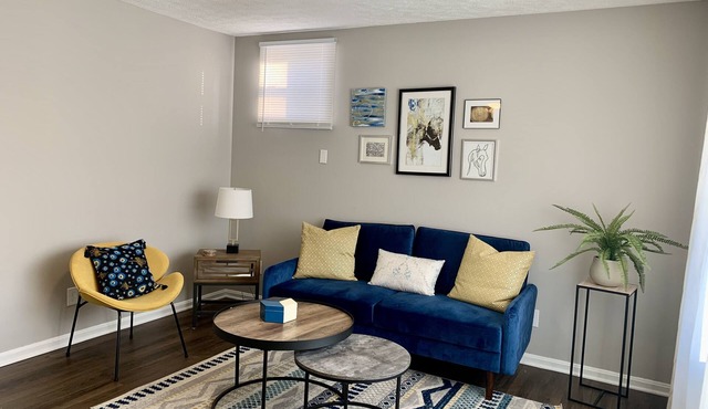 Stylish Mid-Century Modern Home 5 minutes to downtown