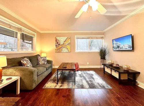 Stylish Modern Apt Near Northside Hospital