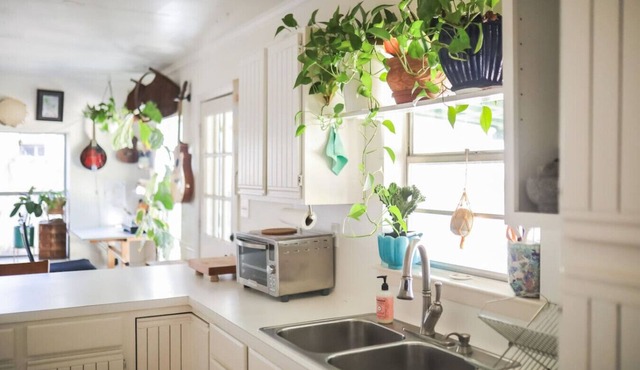 Stylish Musician`s Flat With Creekside Garden