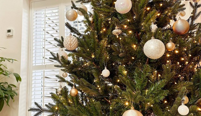 Stylish Private Annex Near Salisbury—A Hidden Gem