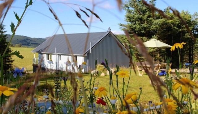 Stylish, spacious lodge with panoramic views, an ideal base for Loch Ness