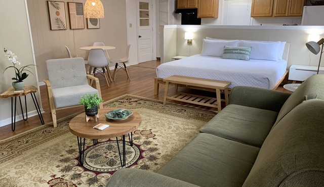 Stylish Studio near Hernando Town Square! Great Location!