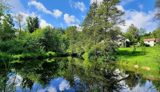 Stylish vacation apartment in enchanting natural surroundings with swimming pond