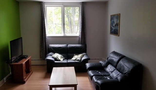 Superb condo very spacious downtown