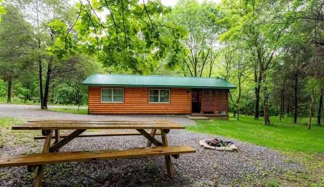 Sublime Cabin with Hot-tub and Fire Pit in Herold, Illinois
