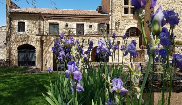 Sublime property in the middle of its vineyard with swimming pool and tennis court