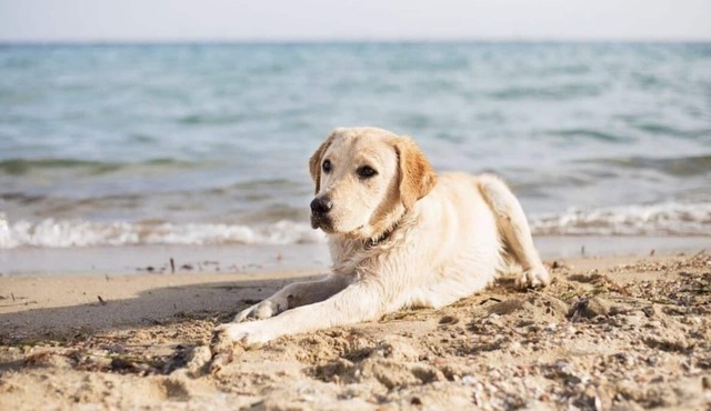 Suburban Studios Brunswick I-95