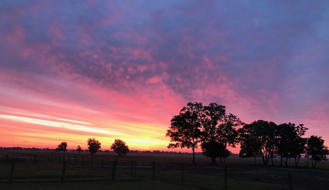Sugar Land Countryside and Brazos Bend Park quiet farm house retreat