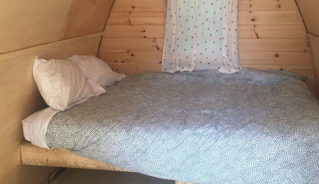 Sugar Maple Camping Pod