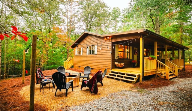 Sugar Pine Cabin-2 bed with firepit, WiFi, near downtown Dahlonega & wineries