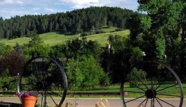 Suite #14 Large, Cozy Suite with 1 private bedroom