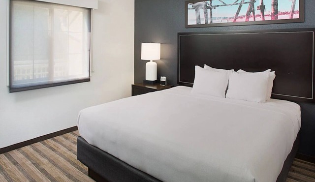 Suite 1BR King, Hyatt House Dallas, Pool Access, Near the Airport, Pets Welcome