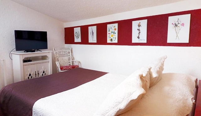 Suite 3C, Jacaranda, Garden House, Wewlcome to San Angel