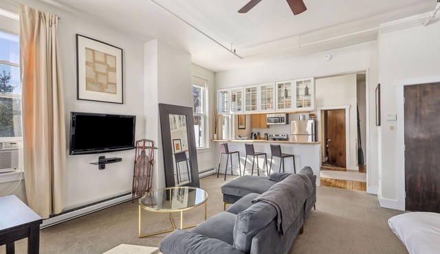 Suite 4- Not Pet Friendly