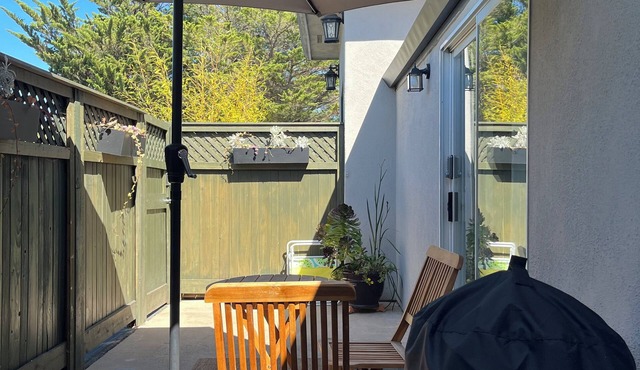 Suite A Work Play and Stay by the beach. Trails to the water from property.