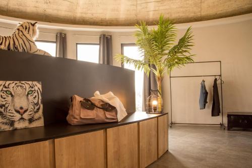 Suite atypique, jacuzzi & piscine