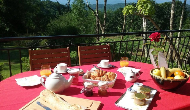 Suite Chambre D'hôte Avec Piscine vue sur les Pyrénées
