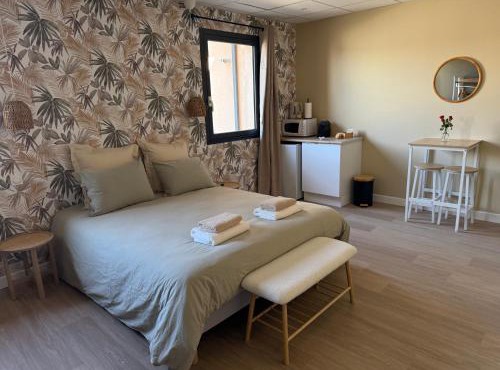 Suite du Spa 3 - Parking Privé Gratuit