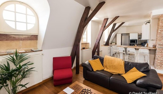 Suite Mana - Maui - Grand Loft en duplex avec Vue sur Place Ducale Parking inclus