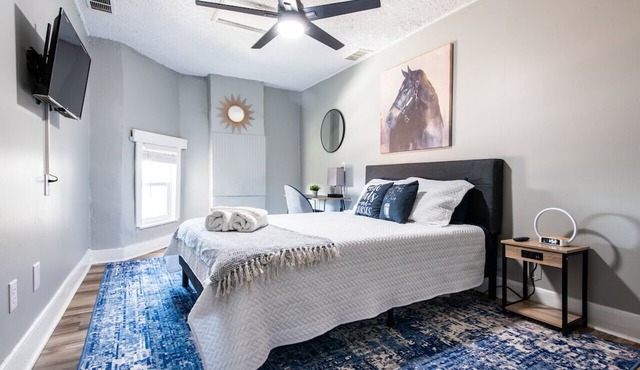 Suite near downtown Louisville, KY · Suite XI