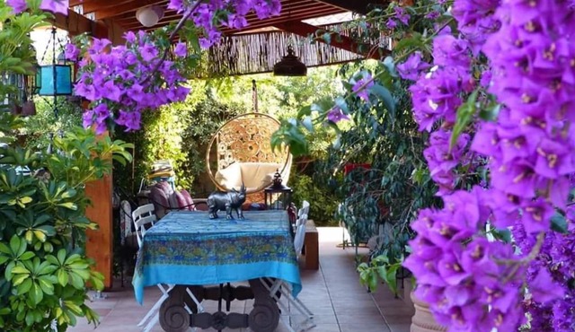 Suite Neuve cosy et Zen