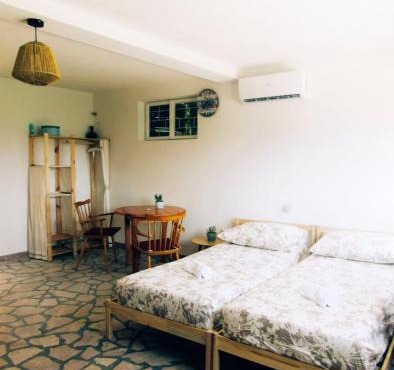 Suite Tangerine Studio