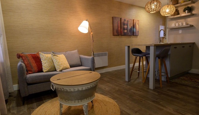 Suite with closed bedroom in the city center (Le Court-toit)