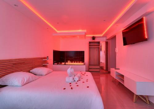 Suite with Jacuzzi & Parking Near CDG Airport